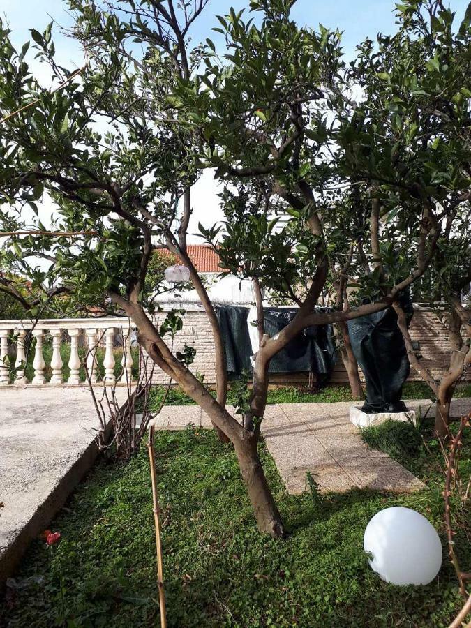 Apartment "Kamelia"Cavtat Esterno foto